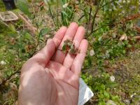 20120429_03.jpg