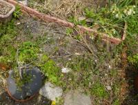 20120429_04.jpg