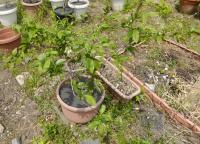 20120429_05.jpg