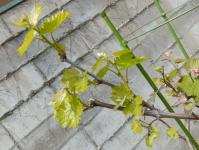 20120429_06.jpg
