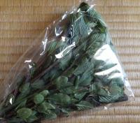 20120429_08.jpg