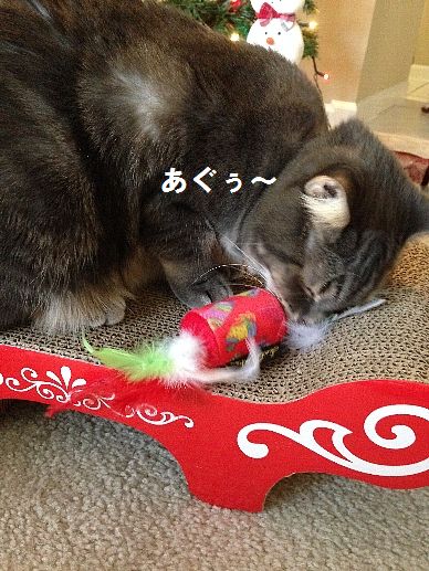 あぐ~