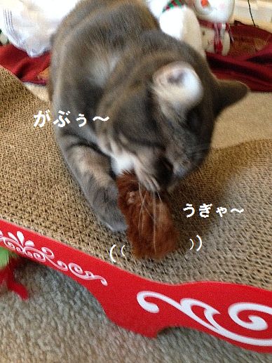 がぶぶう~