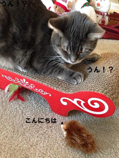 うん!?