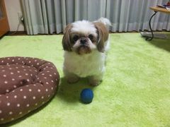 フォト
