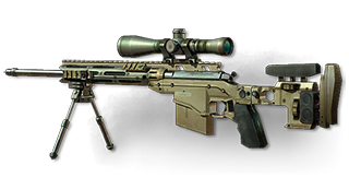 MSR