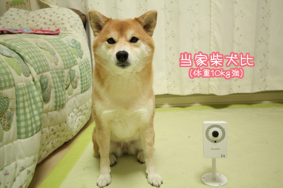 qwatch3.jpg