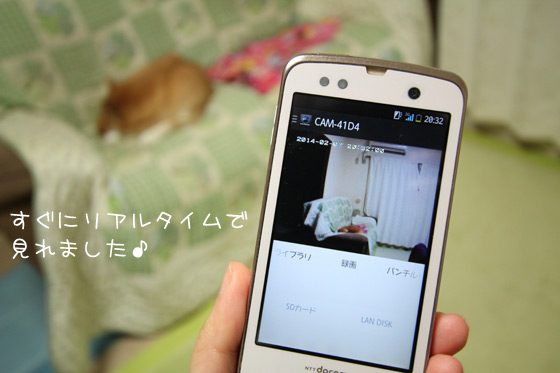 qwatch5.jpg