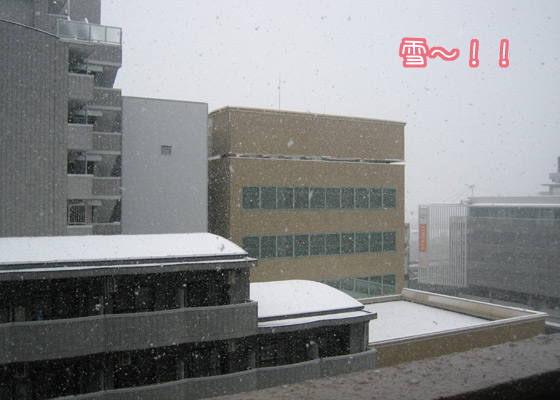 yuki2014_1.jpg