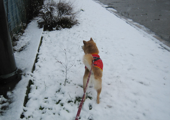 yuki2014_2.jpg