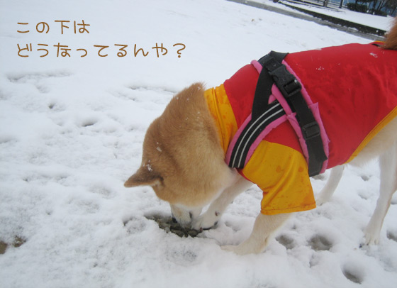 yuki2014_4.jpg