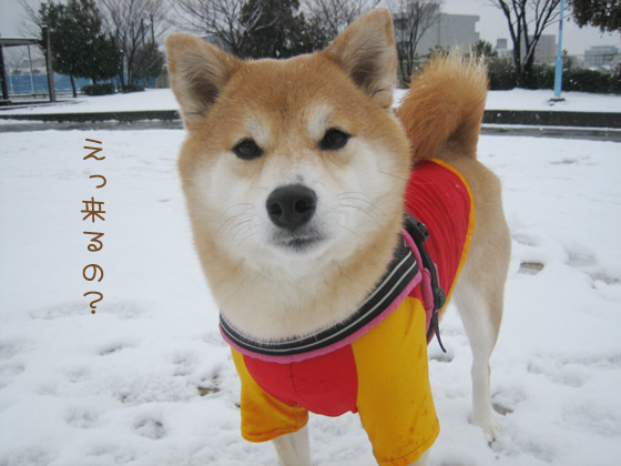 yuki2014_5.jpg