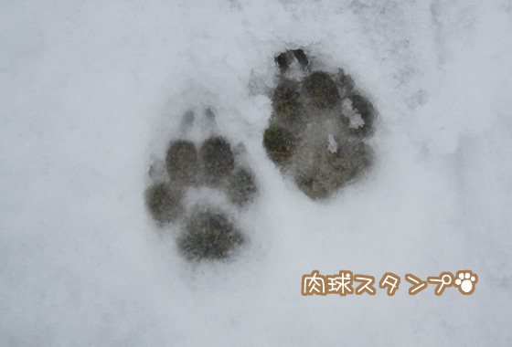 yuki2014_6.jpg