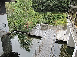 IMG_3527.jpg