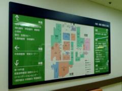 kojinasobi-b130318.jpg