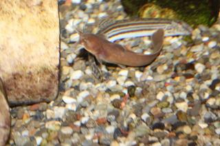 IMG_5954.jpg