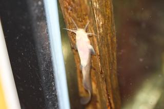 IMG_6182.jpg