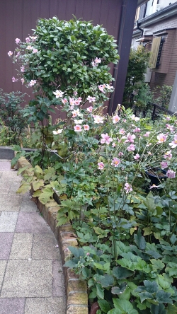 fc2_2014-09-20_13-22-13-414.jpg