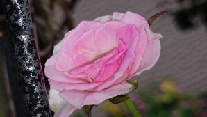 fc2_2014-09-20_13-22-47-674.jpg
