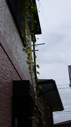 fc2_2014-09-20_13-23-17-927.jpg