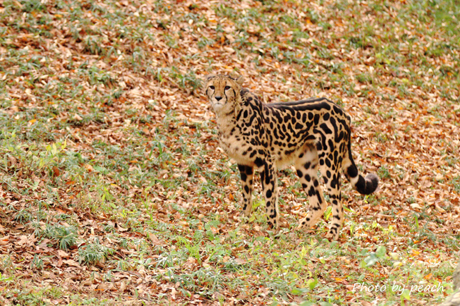 Jb-20141116-1c.jpg