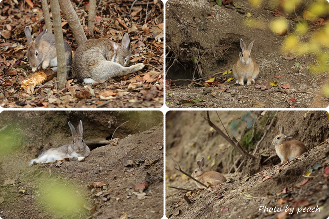 Jb-20141128-3dmrt.jpg