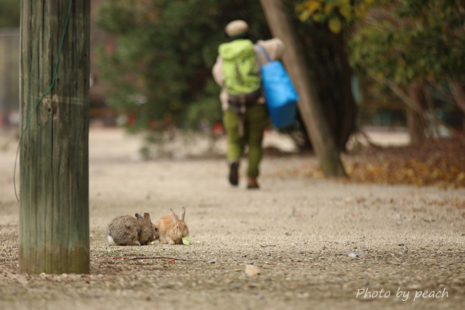 Jb-20141128-3j.jpg