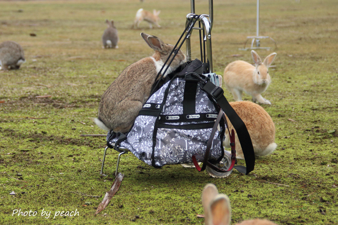 Jb-20141129-1b.jpg