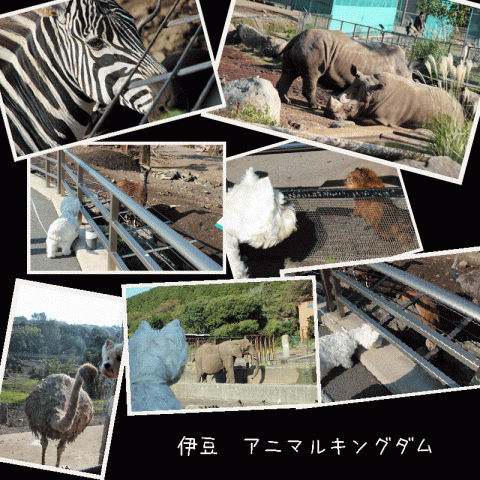 20131118動物園