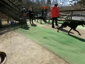 PE_20130401010404.jpg