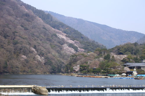 嵐山01