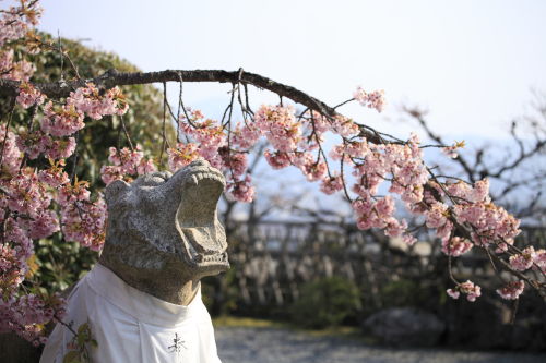 法輪寺03