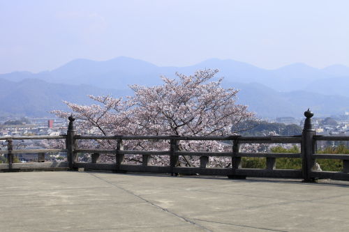 法輪寺04