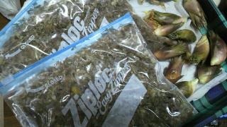 2011102022530000.jpg