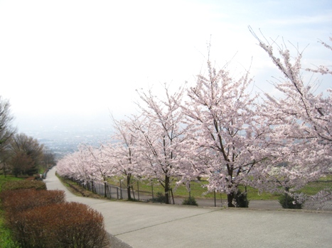 120417-1a.jpg