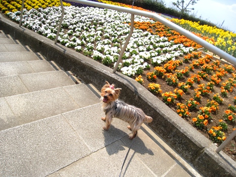 120417-4.jpg