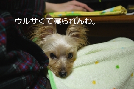 0216-11.jpg