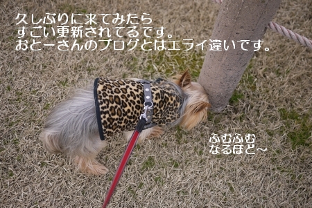 0303-11.jpg
