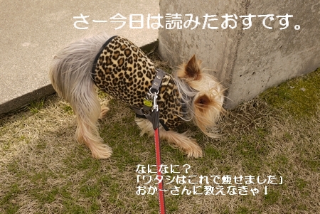 0303-13.jpg