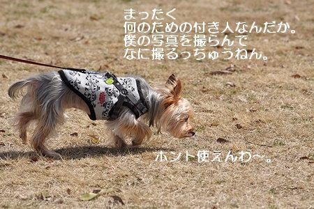0315-21.jpg