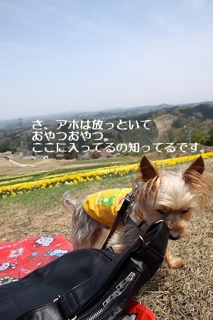 0430-062.jpg