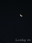 131130-2.jpg
