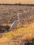 131130-7.jpg