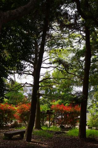 天田神社#8