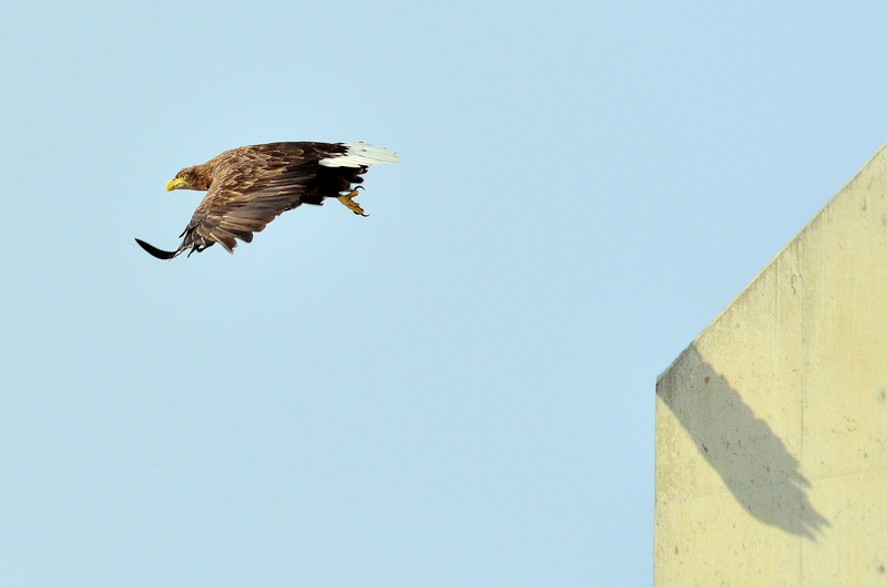 1-1-1-DSC_0222-001.jpg