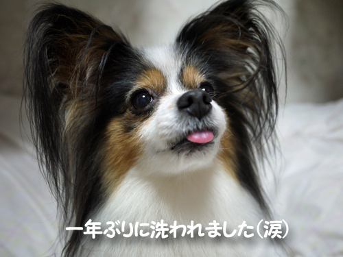 P1010146.jpg