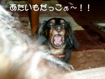 あたいも!