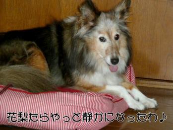 ひといき