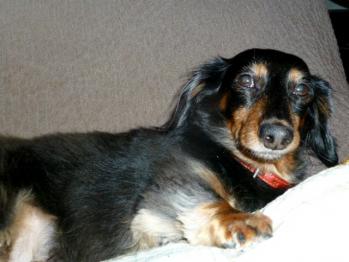 2_20111023001346.jpg