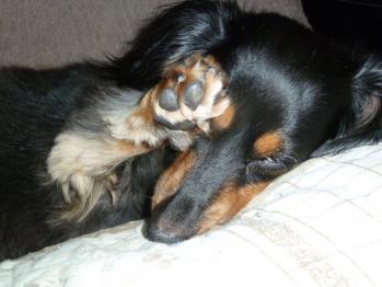 4_20111023001345.jpg